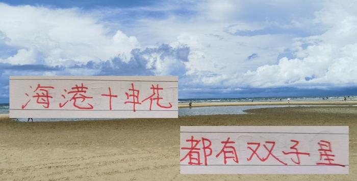 中超16轮下来 是申花的刘诚宇厉害 还是海港的李新翔更加帅